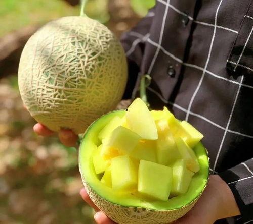 龙坤娱乐吃瓜,吃瓜群众揭秘娱乐圈幕后真相